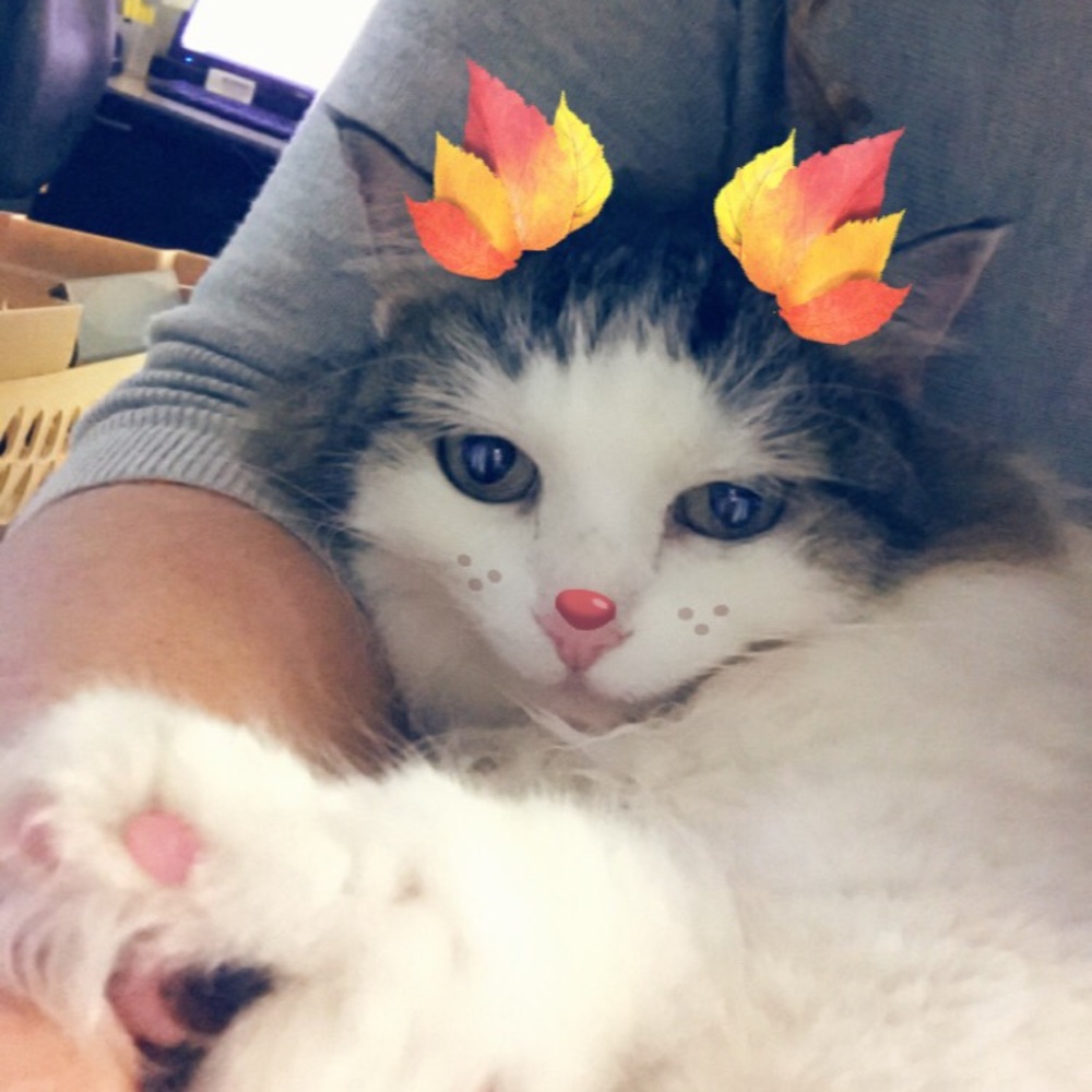 Meet your Posher, Anna